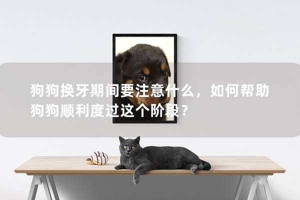 狗狗换牙期间要注意什么，如何帮助狗狗顺利度过这个阶段？
