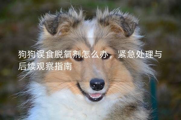 狗狗误食脱氧剂怎么办，紧急处理与后续观察指南