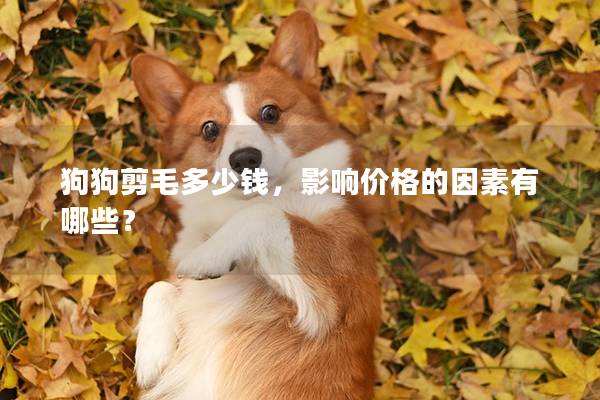 狗狗剪毛多少钱，影响价格的因素有哪些？