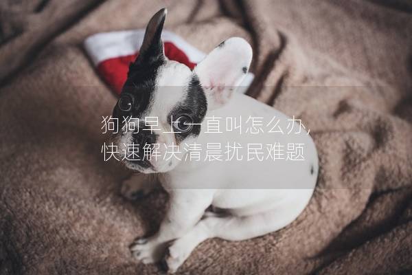 狗狗早上一直叫怎么办, 快速解决清晨扰民难题