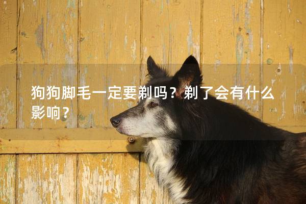 狗狗脚毛一定要剃吗？剃了会有什么影响？