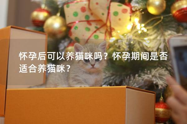 怀孕后可以养猫咪吗？怀孕期间是否适合养猫咪？