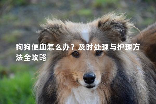 狗狗便血怎么办？及时处理与护理方法全攻略