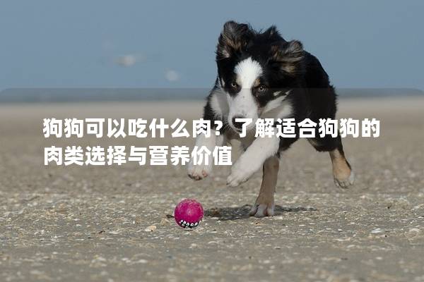 狗狗可以吃什么肉？了解适合狗狗的肉类选择与营养价值