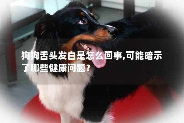 狗狗舌头发白是怎么回事,可能暗示了哪些健康问题？