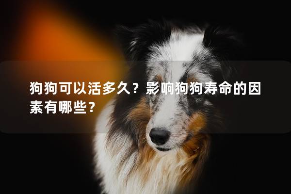 狗狗可以活多久？影响狗狗寿命的因素有哪些？