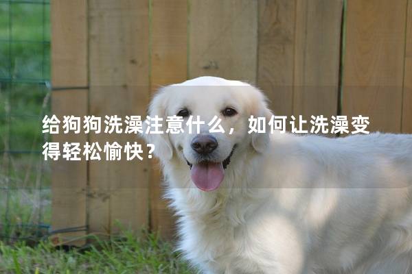 给狗狗洗澡注意什么，如何让洗澡变得轻松愉快？