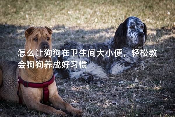 怎么让狗狗在卫生间大小便，轻松教会狗狗养成好习惯