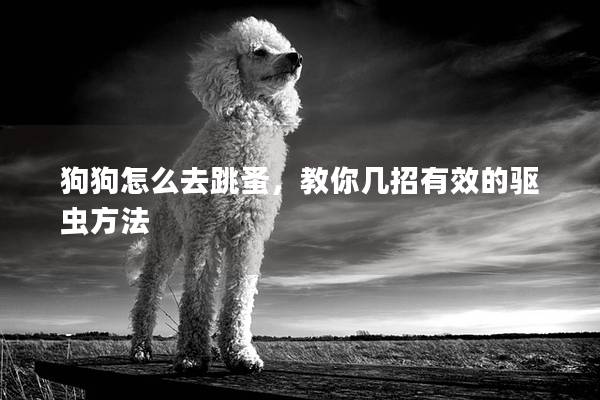 狗狗怎么去跳蚤，教你几招有效的驱虫方法