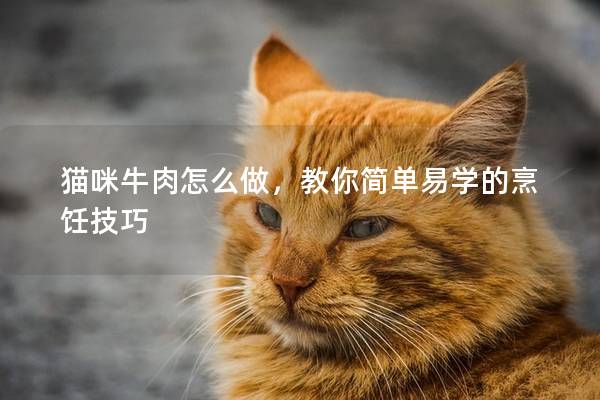 猫咪牛肉怎么做，教你简单易学的烹饪技巧