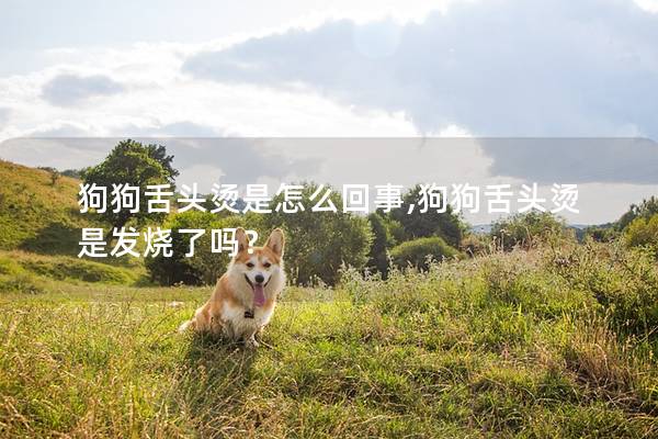 狗狗舌头烫是怎么回事,狗狗舌头烫是发烧了吗？