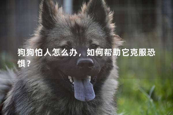 狗狗怕人怎么办，如何帮助它克服恐惧？