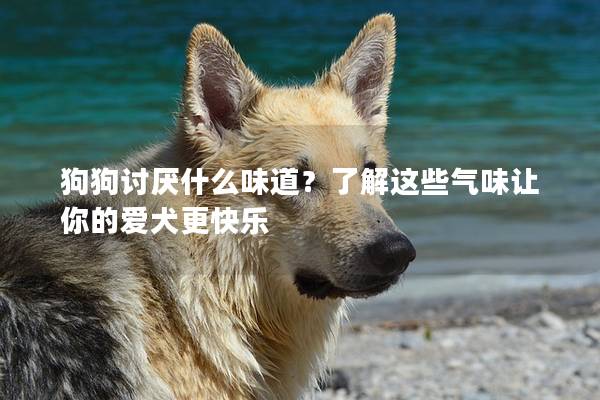 狗狗讨厌什么味道？了解这些气味让你的爱犬更快乐