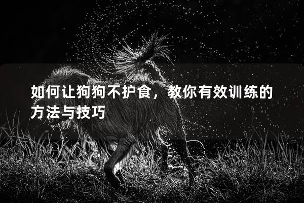 如何让狗狗不护食，教你有效训练的方法与技巧