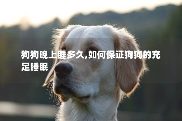 狗狗晚上睡多久,如何保证狗狗的充足睡眠