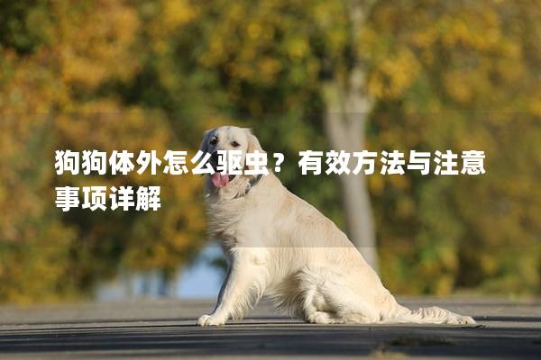 狗狗体外怎么驱虫？有效方法与注意事项详解