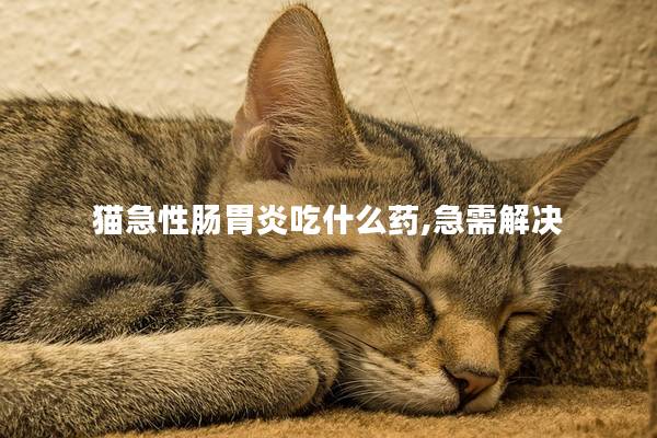 猫急性肠胃炎吃什么药,急需解决
