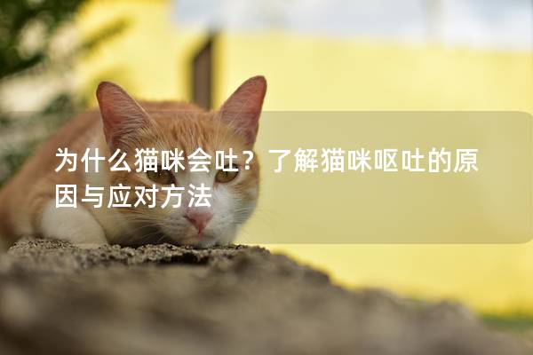 为什么猫咪会吐？了解猫咪呕吐的原因与应对方法