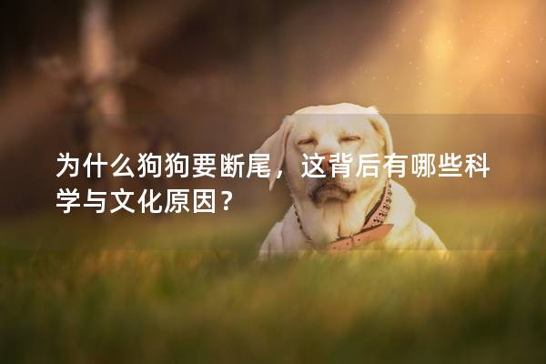 为什么狗狗要断尾，这背后有哪些科学与文化原因？