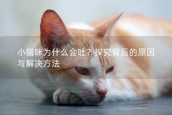 小猫咪为什么会吐？探究背后的原因与解决方法