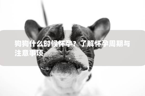 狗狗什么时候怀孕？了解怀孕周期与注意事项