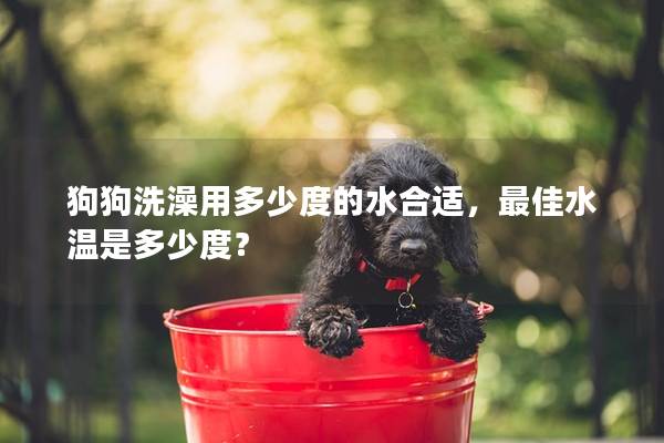 狗狗洗澡用多少度的水合适，最佳水温是多少度？