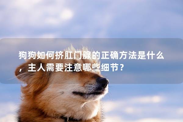 狗狗如何挤肛门腺的正确方法是什么，主人需要注意哪些细节？