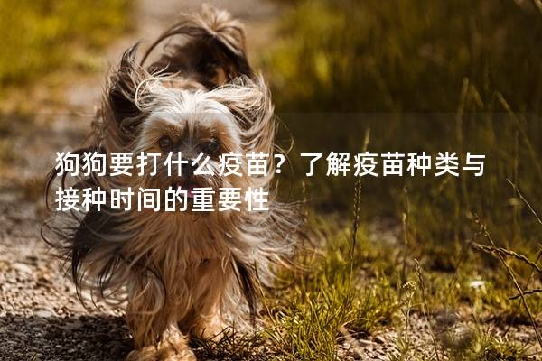 狗狗要打什么疫苗？了解疫苗种类与接种时间的重要性