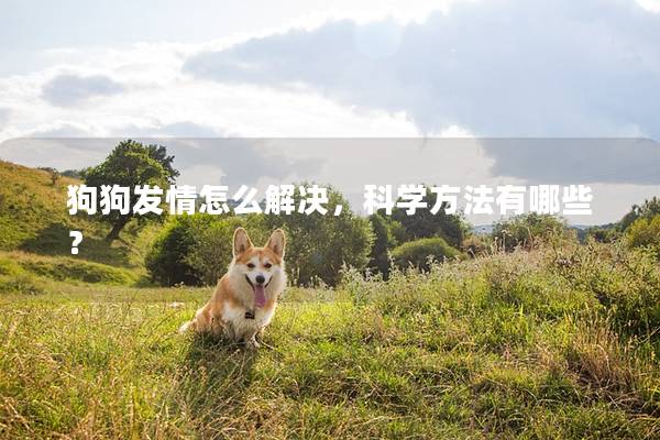 狗狗发情怎么解决，科学方法有哪些？