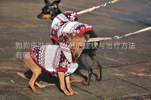 狗狗皮肤病、狗癣的症状与治疗方法有哪些？