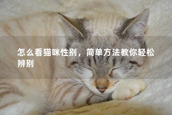 怎么看猫咪性别，简单方法教你轻松辨别