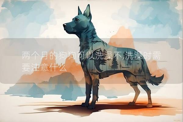 两个月的狗狗可以洗澡不,洗澡时需要注意什么