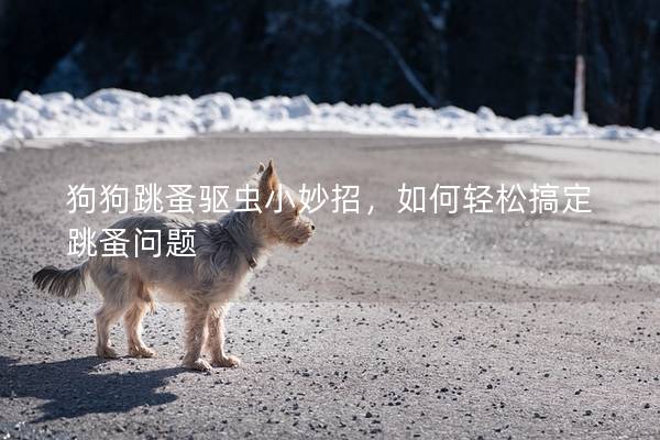 狗狗跳蚤驱虫小妙招，如何轻松搞定跳蚤问题