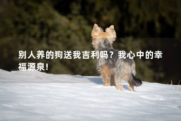 别人养的狗送我吉利吗？我心中的幸福源泉!