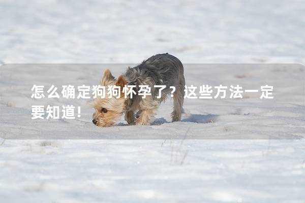 怎么确定狗狗怀孕了？这些方法一定要知道!