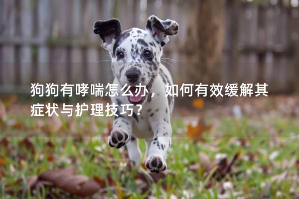 狗狗有哮喘怎么办，如何有效缓解其症状与护理技巧？