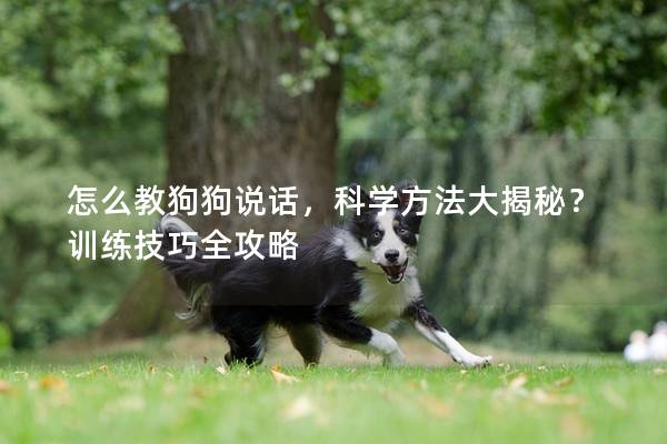 怎么教狗狗说话，科学方法大揭秘？训练技巧全攻略