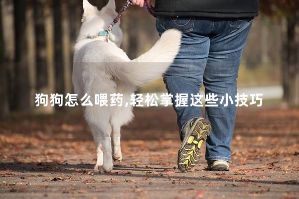 狗狗怎么喂药,轻松掌握这些小技巧