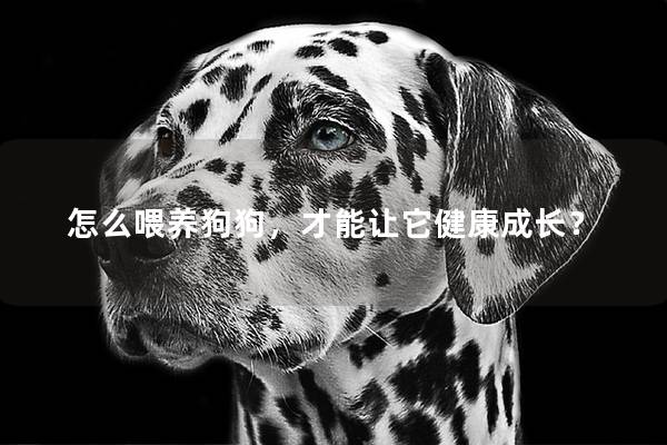 怎么喂养狗狗，才能让它健康成长？