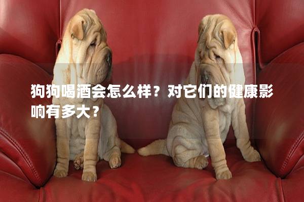 狗狗喝酒会怎么样？对它们的健康影响有多大？