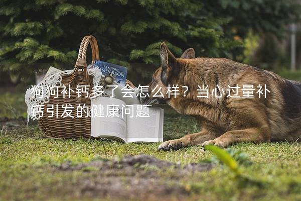 狗狗补钙多了会怎么样？当心过量补钙引发的健康问题