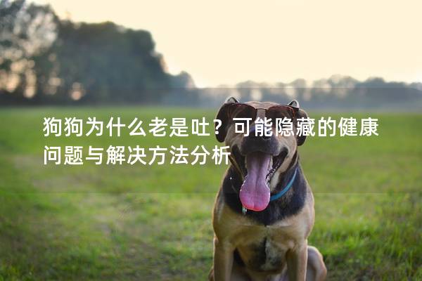 狗狗为什么老是吐？可能隐藏的健康问题与解决方法分析