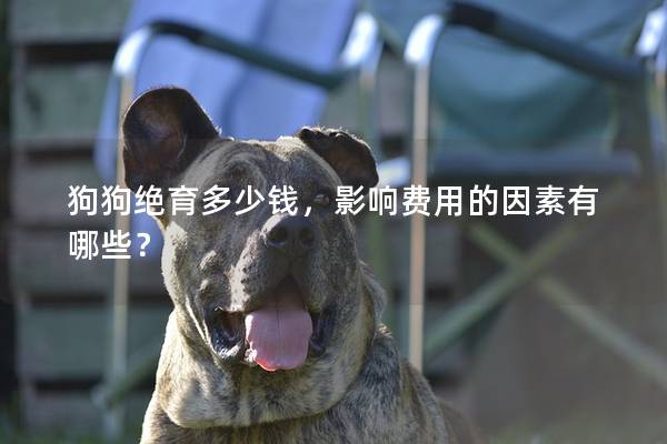 狗狗绝育多少钱，影响费用的因素有哪些？
