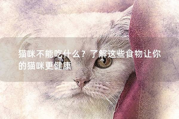猫咪不能吃什么？了解这些食物让你的猫咪更健康
