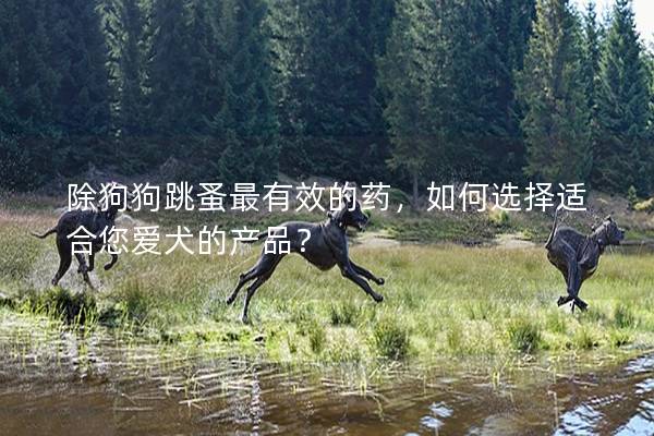 除狗狗跳蚤最有效的药，如何选择适合您爱犬的产品？