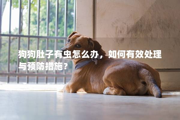 狗狗肚子有虫怎么办，如何有效处理与预防措施？