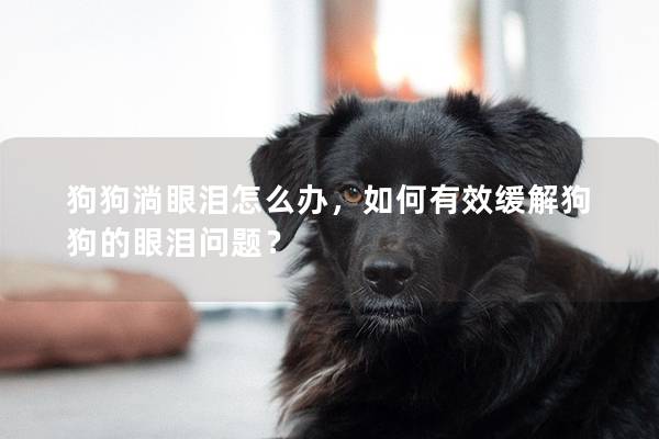 狗狗淌眼泪怎么办，如何有效缓解狗狗的眼泪问题？