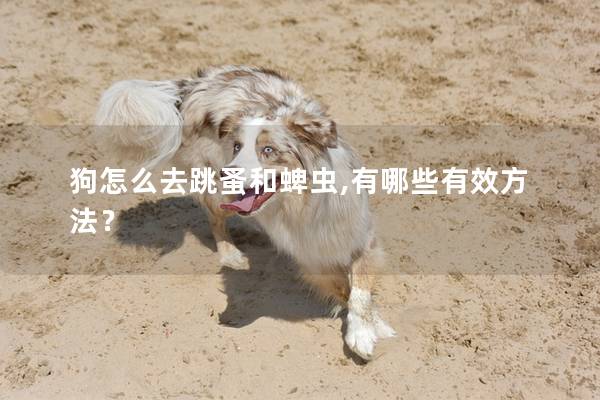狗怎么去跳蚤和蜱虫,有哪些有效方法？