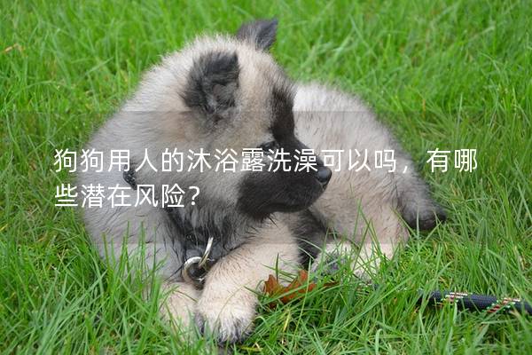 狗狗用人的沐浴露洗澡可以吗，有哪些潜在风险？