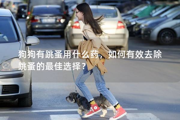 狗狗有跳蚤用什么药，如何有效去除跳蚤的最佳选择？